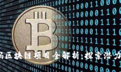 2023年首码区块链项目全解析：探索潜力与投资机