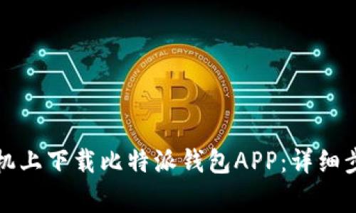 如何在苹果手机上下载比特派钱包APP：详细步骤与注意事项