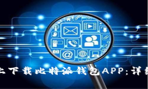 如何在苹果手机上下载比特派钱包APP：详细步骤与注意事项