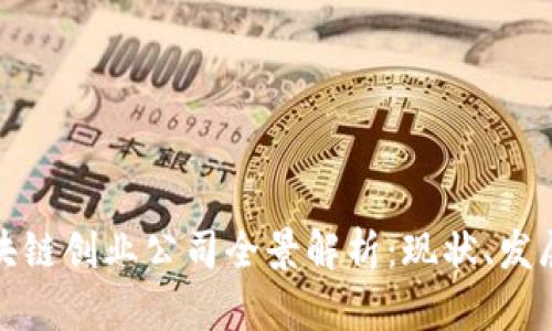 合肥区块链创业公司全景解析：现状、发展与未来