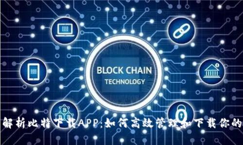 全面解析比特下载APP：如何高效管理和下载你的文件
