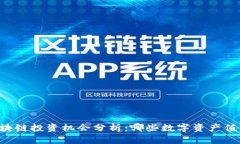 当前区块链投资机会分析：哪些数字资产值得炒