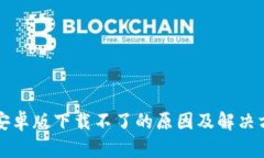 比特派安卓版下载不了的原因及解决方案解析