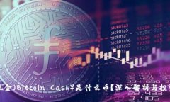 比特现金（Bitcoin Cash）是什么币？深入解析与投