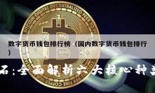 区块链基石：全面解析六大核心种类及其应用