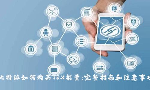 比特派如何购买TRX能量：完整指南和注意事项