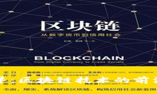 探索陀螺世界：区块链技术的前沿应用与探索