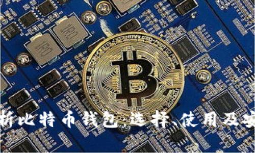 全面解析比特币钱包：选择、使用及安全防护
