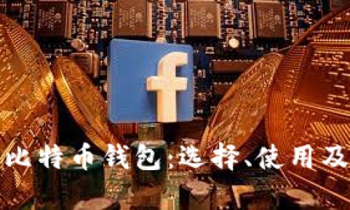 全面解析比特币钱包：选择、使用及安全防护