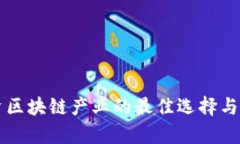 长期投资区块链产业的最佳选择与策略解析