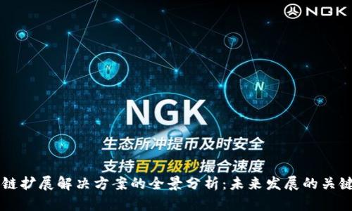 区块链扩展解决方案的全景分析：未来发展的关键技术
