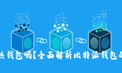 比特派钱包是热钱包吗？全面解析比特派钱包的性质与安全性