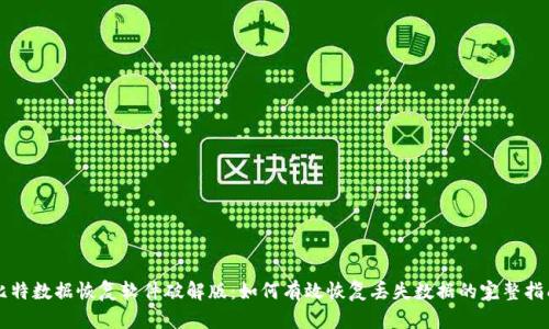 比特数据恢复软件破解版：如何有效恢复丢失数据的完整指南