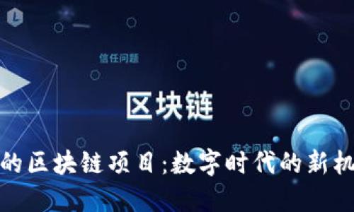 探索网易的区块链项目：数字时代的新机遇与挑战