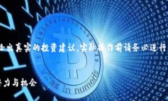 注意：以下内容为模拟编写，没有给出真实的投