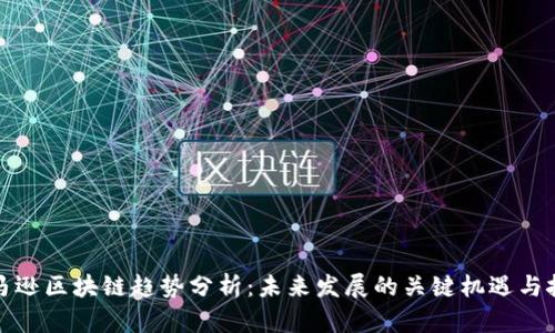 亚马逊区块链趋势分析：未来发展的关键机遇与挑战