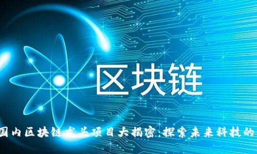 2023年国内区块链龙头项目大揭密：探索未来科技的先锋力量