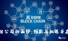 揭开郫都区块链公司的面纱：创新与机遇并存的