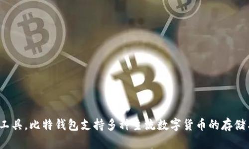 比特钱包是由比特钱包科技有限公司开发和运营的一款数字货币钱包应用程序。该公司专注于区块链技术和加密货币的领域，致力于为用户提供安全、便捷的数字资产管理工具。比特钱包支持多种主流数字货币的存储与交易，致力于为用户创造高效、安全的数字资产管理体验。比特钱包不仅提供了基本的转账、收款功能，还融入了多种创新技术和服务，使其在数字钱包市场中占据一席之地。