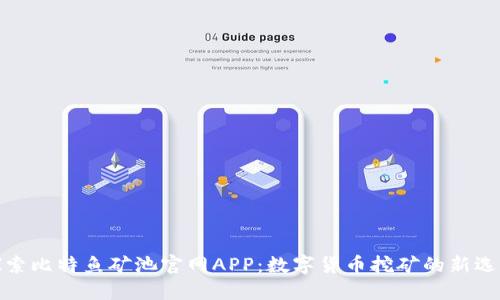 探索比特鱼矿池官网APP：数字货币挖矿的新选择