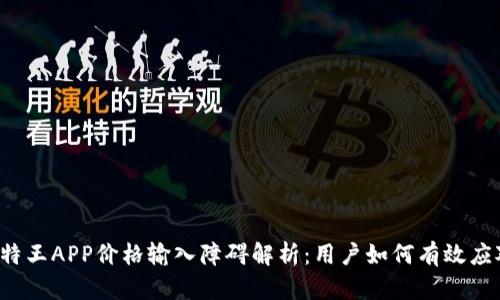 比特王APP价格输入障碍解析：用户如何有效应对？