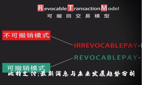 比特支付：最新消息与未来发展趋势分析