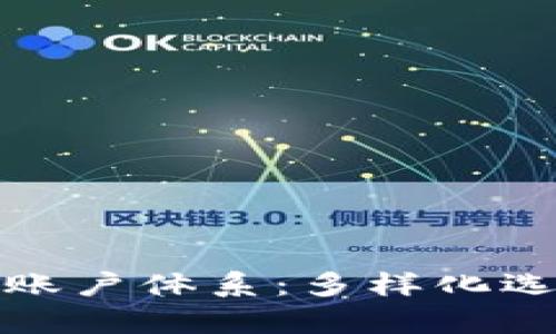 全面解析区块链账户体系：多样化选择与安全性理解