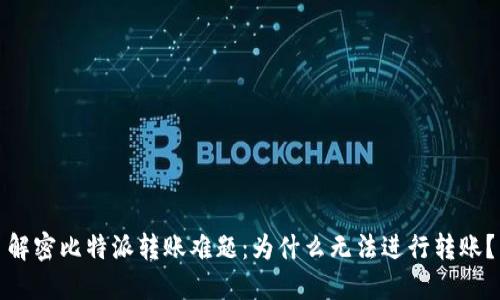 解密比特派转账难题：为什么无法进行转账？