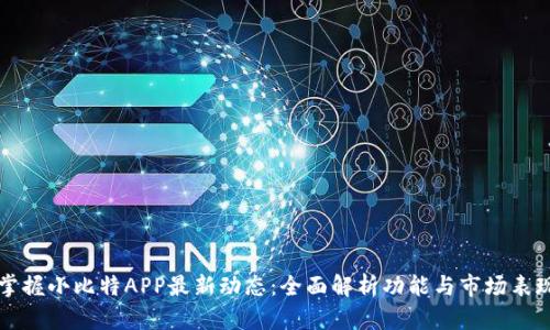 掌握小比特APP最新动态：全面解析功能与市场表现