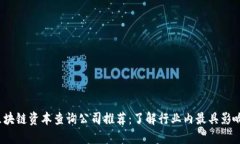 2023年区块链资本查询公司推荐：了解行业内最具