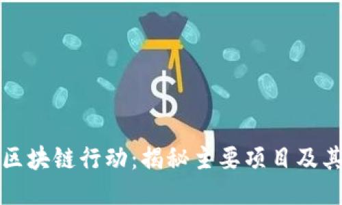 探索区块链行动：揭秘主要项目及其创新