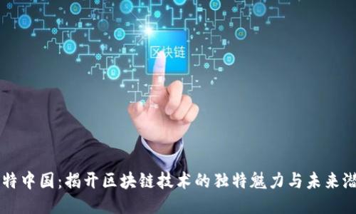 比特中国：揭开区块链技术的独特魅力与未来潜力