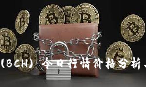 比特现金 (BCH) 今日行情价格分析与市场动态