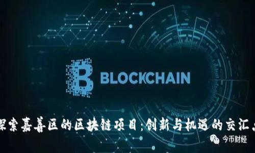 探索嘉善区的区块链项目：创新与机遇的交汇点