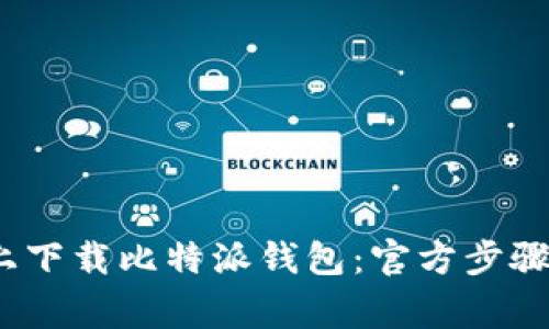 如何在iOS上下载比特派钱包：官方步骤与注意事项