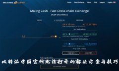 比特派中国官网无法打开的解决方案与技巧