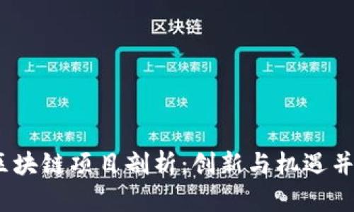 2023年最新区块链项目剖析：创新与机遇并存的未来之路