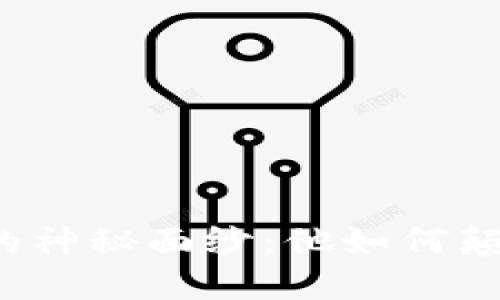 揭开比特派老板的神秘面纱：他如何颠覆数字货币领域？
