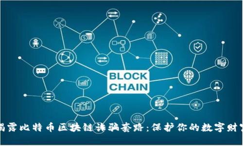 揭露比特币区块链诈骗套路：保护你的数字财富