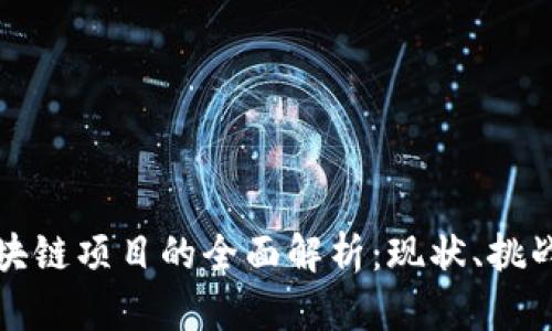 政府推进区块链项目的全面解析：现状、挑战与未来展望