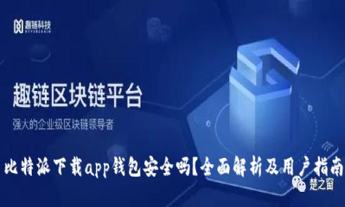 比特派下载app钱包安全吗？全面解析及用户指南