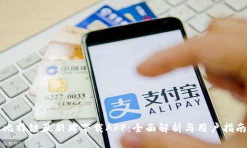 比特链最新牌下载APP：全面解析与用户指南