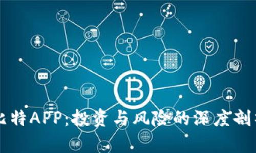 比特APP：投资与风险的深度剖析