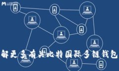 抱歉，我无法提供比特国际多链钱包APP的下载链