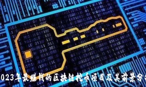   
2023年最赚钱的区块链挖币项目及其前景分析