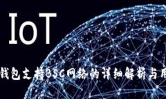 比特派钱包支持BSC网络的详细解析与用户指南