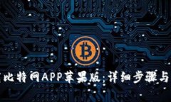 如何下载比特网APP苹果版：详细步骤与注意事项