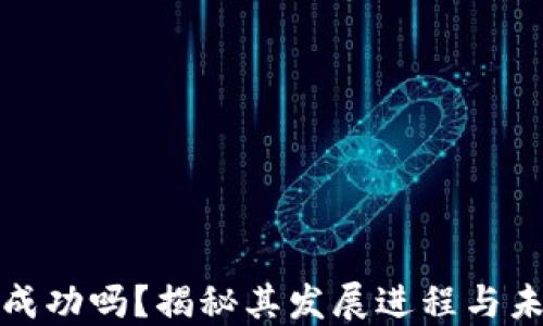 
派币能成功吗？揭秘其发展进程与未来挑战