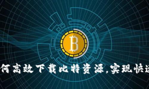 全方位解析：如何高效下载比特资源，实现快速获取所需文件